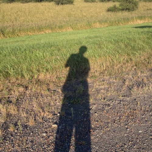 peace_kt's profile picture. 星を見るのが好きになったことが一番の幸せかもしれない。