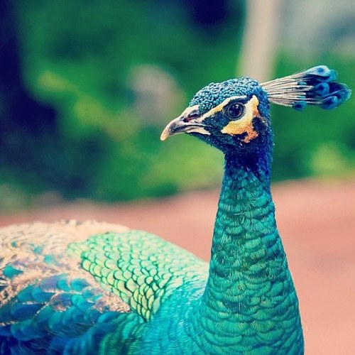 لا تشل من الكدر ؤآيد .. خلهـأ دنيأك عفويہ ♡