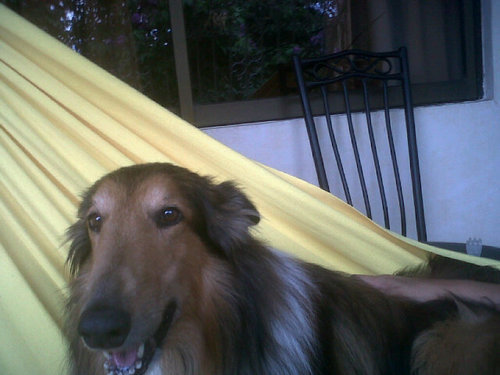 Marlunas's profile picture. 