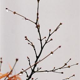 ggarrusangg's profile picture. 힘도 없고 빽도 없는 대학생~