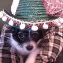 ann cass - @nayanne - Twitter