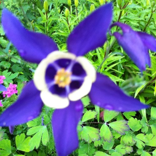 LawyerAlaska's profile picture. 