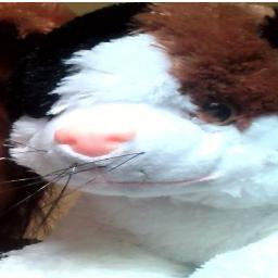 puddgandhezsgdz's profile picture. Putri arum yuliannisa pengasuh