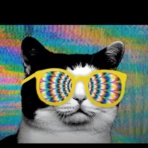 computergamer22's profile picture. 