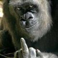 John Macfarlane (@chainsawjohn) 's Twitter Profile