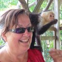 CAROL HOOD - @CAROLHOOD1 - Twitter