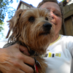 Marie Dzuris (@mariedzuris) Twitter profile photo Marie Dzuris (@mariedzuris) Twitter profile photo