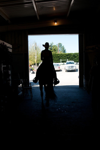 brokeequestrian's profile picture. Just a broke girl tryna make her way in the horse world! That button? Yeah I'd tap that!