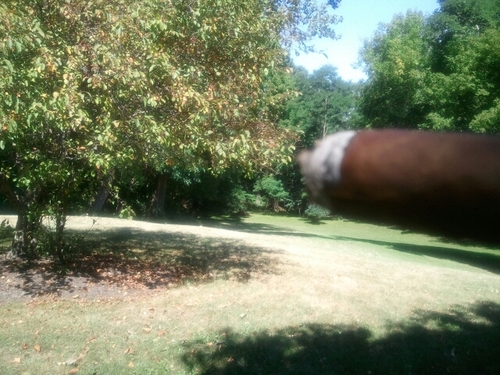 fishbone32's profile picture. 