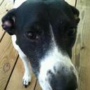 Patrick Cady - @Crack1313 - Twitter