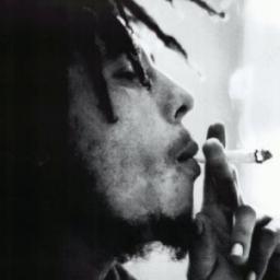 É muito fácil criticar sem se informar.
Se informe antes de falar e legalize ganja!