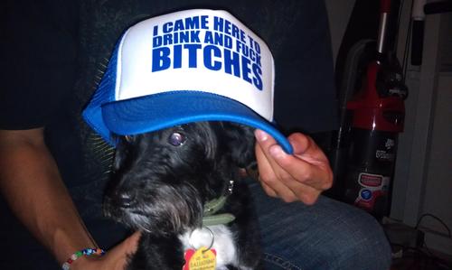 I'm just tryna function. ***Follow back if you're sexy and u know it*** #CollegeDog