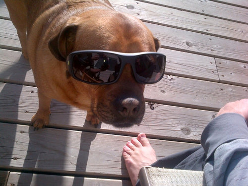 Hansbee123's profile picture. 