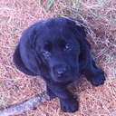 Ryan Yates - @yatesrl - Twitter