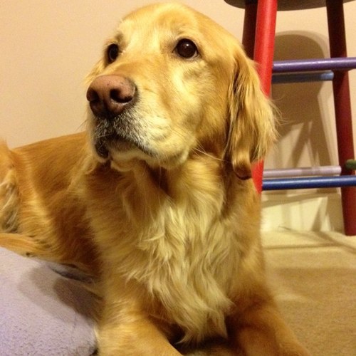 runnergirI's profile picture. 