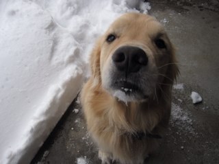 mereditheichner's profile picture. 