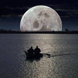 Reflexiones, pensamientos,versos y frases para la Vida// TUMESIGUESYOTESIGO