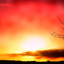 Nelson McMillan - @McMillanNelson - Twitter