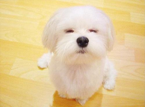 win4040's profile picture. 키수해주세염