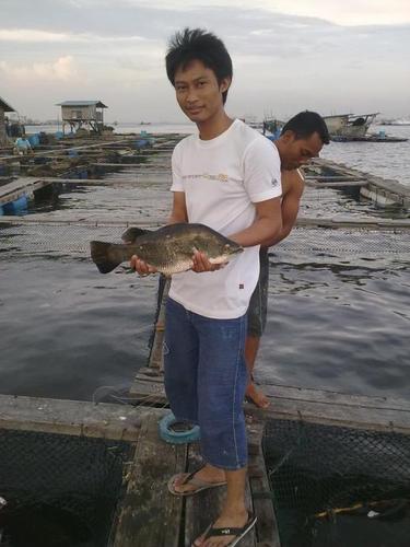 Pekerja keras .
Mengagumi cewek serius dalam berhubungan .
Nice Tu meet U .