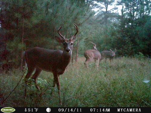 hunter, leader,teacher,over all red blooded American gun totin  man