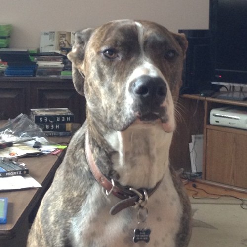 RunMasterRy's profile picture. 