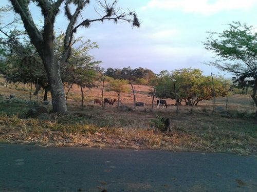 jhongon7's profile picture. 