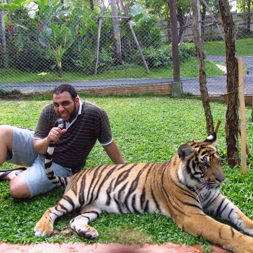 mmohey's profile picture. 