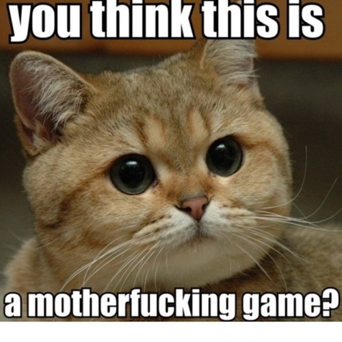 BluntODank's profile picture. kwijibo008008