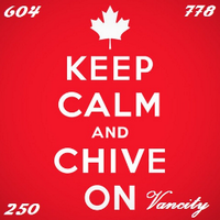 KCCO Vancity(@KCCOVancity) 's Twitter Profile Photo