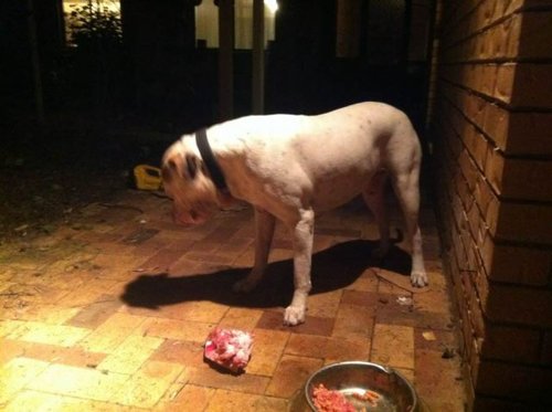 greenmachine896's profile picture. fifo is awesome