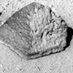 uma pedra em Marte