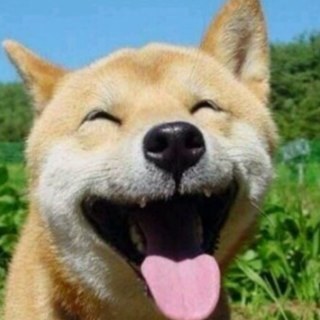 deepk22's profile picture. 멜론 모니터링