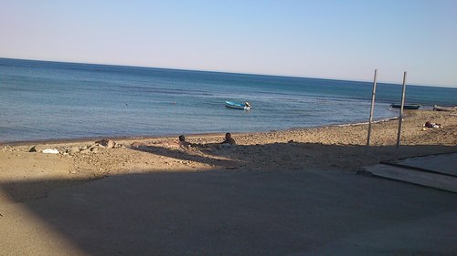 csc2298's profile picture. 