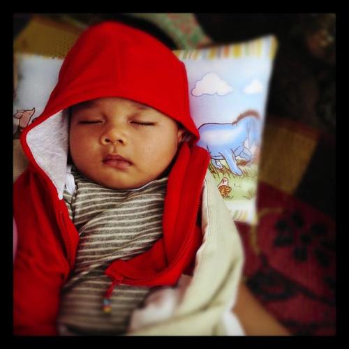 sovranitasibuea's profile picture. 