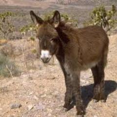 hey2y2000's profile picture. 