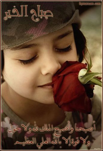 _9813001964672's profile picture. أنا أنسانه تعشق كل ماهو جميل وبسيط و واقعي