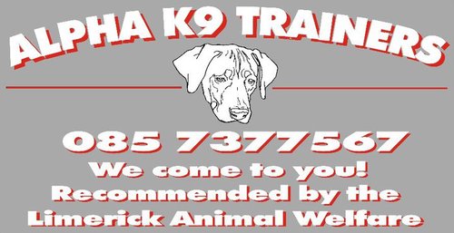 Professional Pack Leader / Dog Psychologist / Dog Behavior Specialist and passionate Canine Enthusiast.