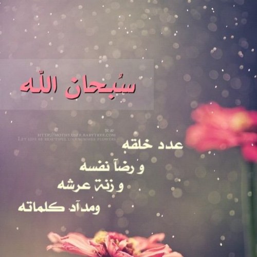 PuritySoOoul's profile picture. I prefer to live alone rather than to be with someone does not worth me..!!