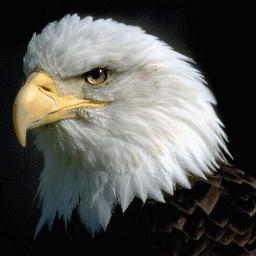 soasoaaa's profile picture. 