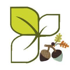 Rien que du Bio pour votre peau!
