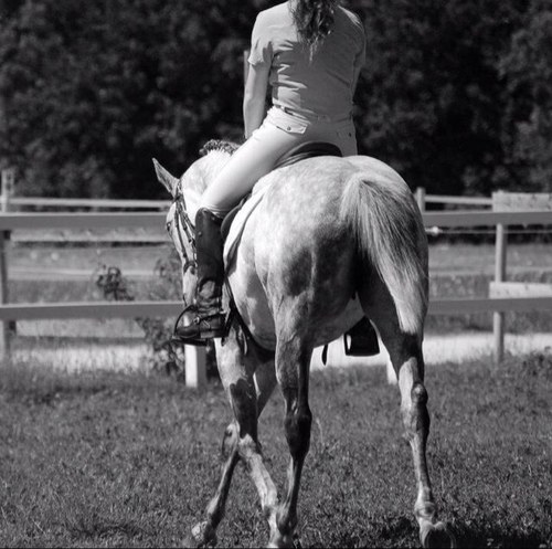 SPotachon's profile picture. 