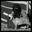 ي هملالي ツ (@236_111) Twitter