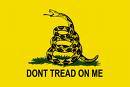 Just this: The Declaration of Independence and The Constitution of The United States of America are the most brilliant expressions of political thought--ever.