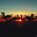 Brandon Loucks - @civile83 - Twitter