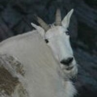Rahul Dave (@rahuldave) 's Twitter Profile