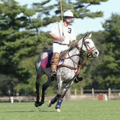 Independent I.T contractor. Certified polo instructor.