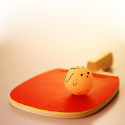 hukttc's profile picture. 法政大学小金井キャンパスで活動している卓球部の情報配信アカウントです。練習日程や大会情報などをつぶやきます。