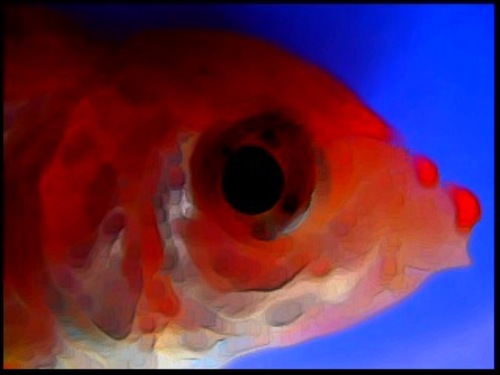 presquevoo's profile picture. talker; typer; consumer; thinker; dancing puppet; animal BFF; biology adorer; hypervigilante; future-craver. symptomatic. she/her. Primate.