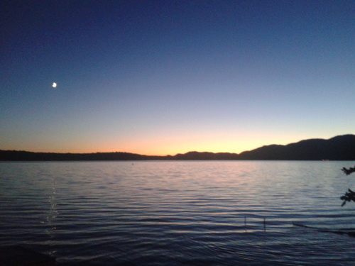 pizzachef14450's profile picture. 